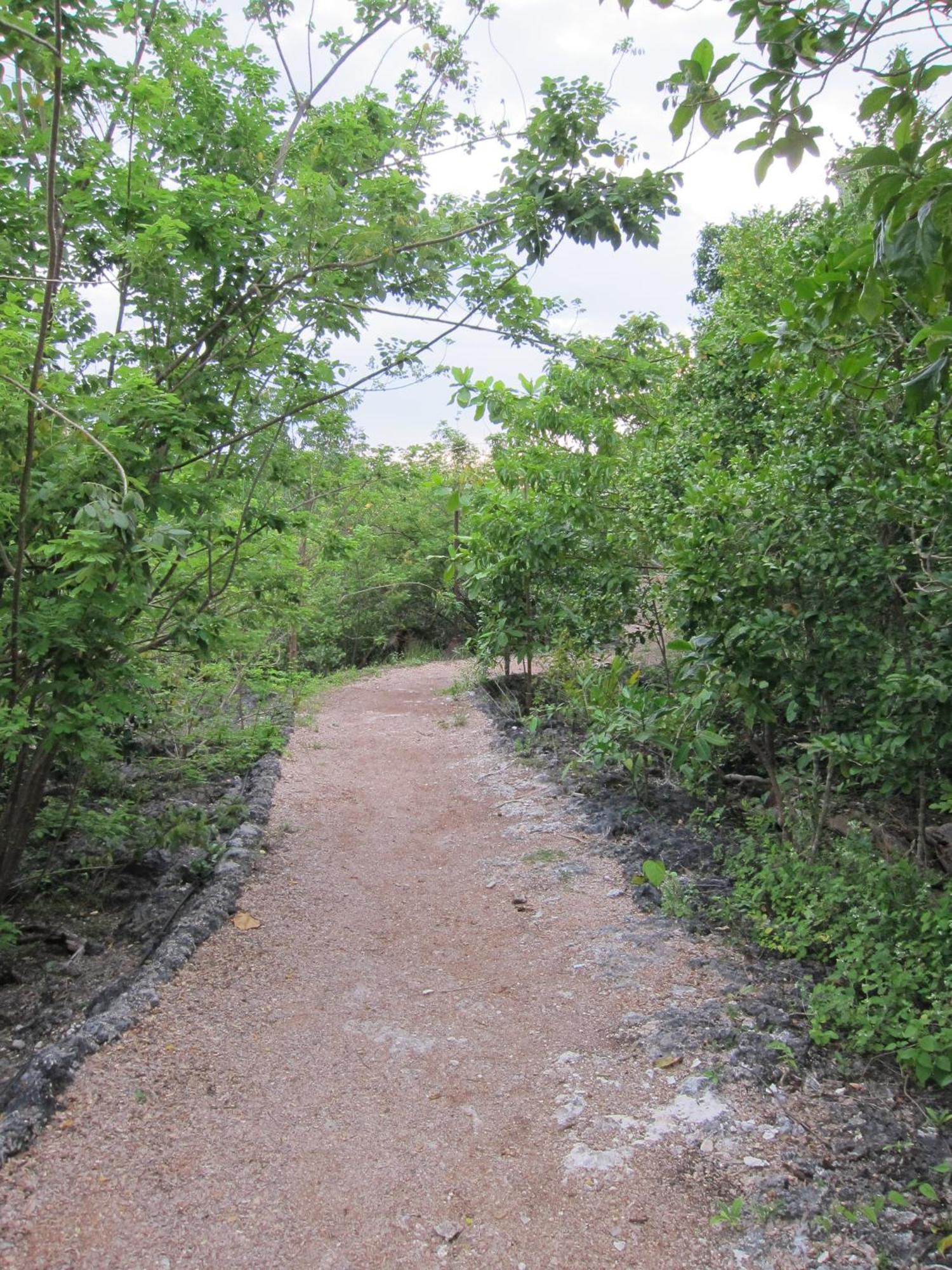 Eskapo Verde Lodge Moalboal Badian Buitenkant foto
