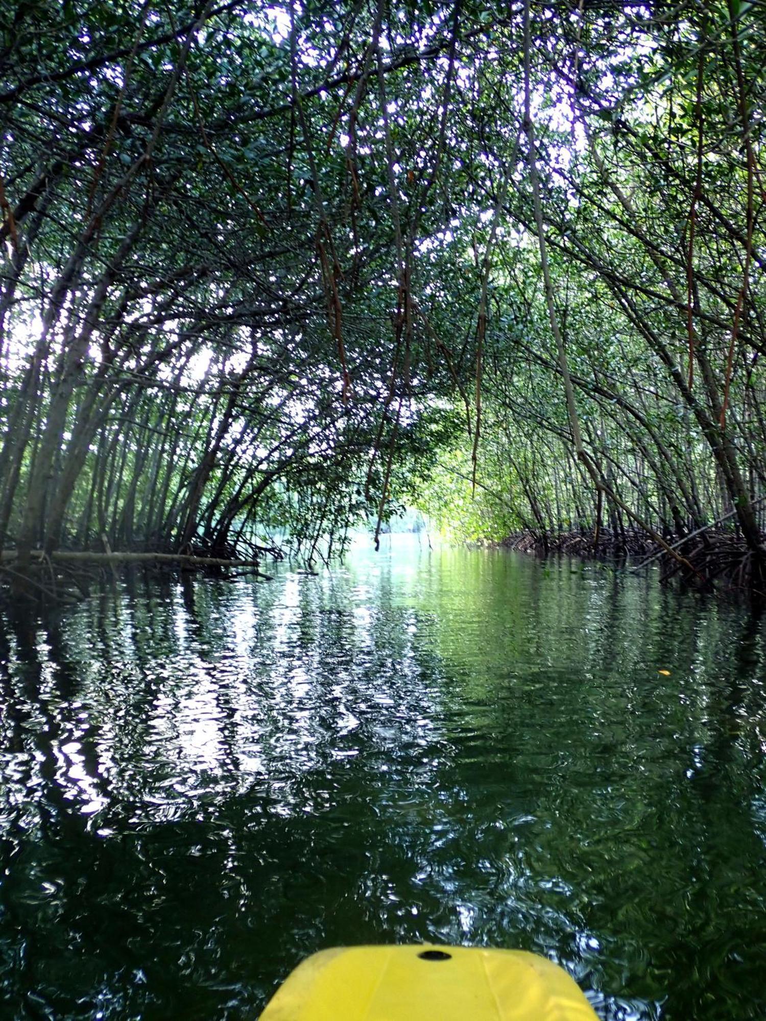 Eskapo Verde Lodge Moalboal Badian Buitenkant foto